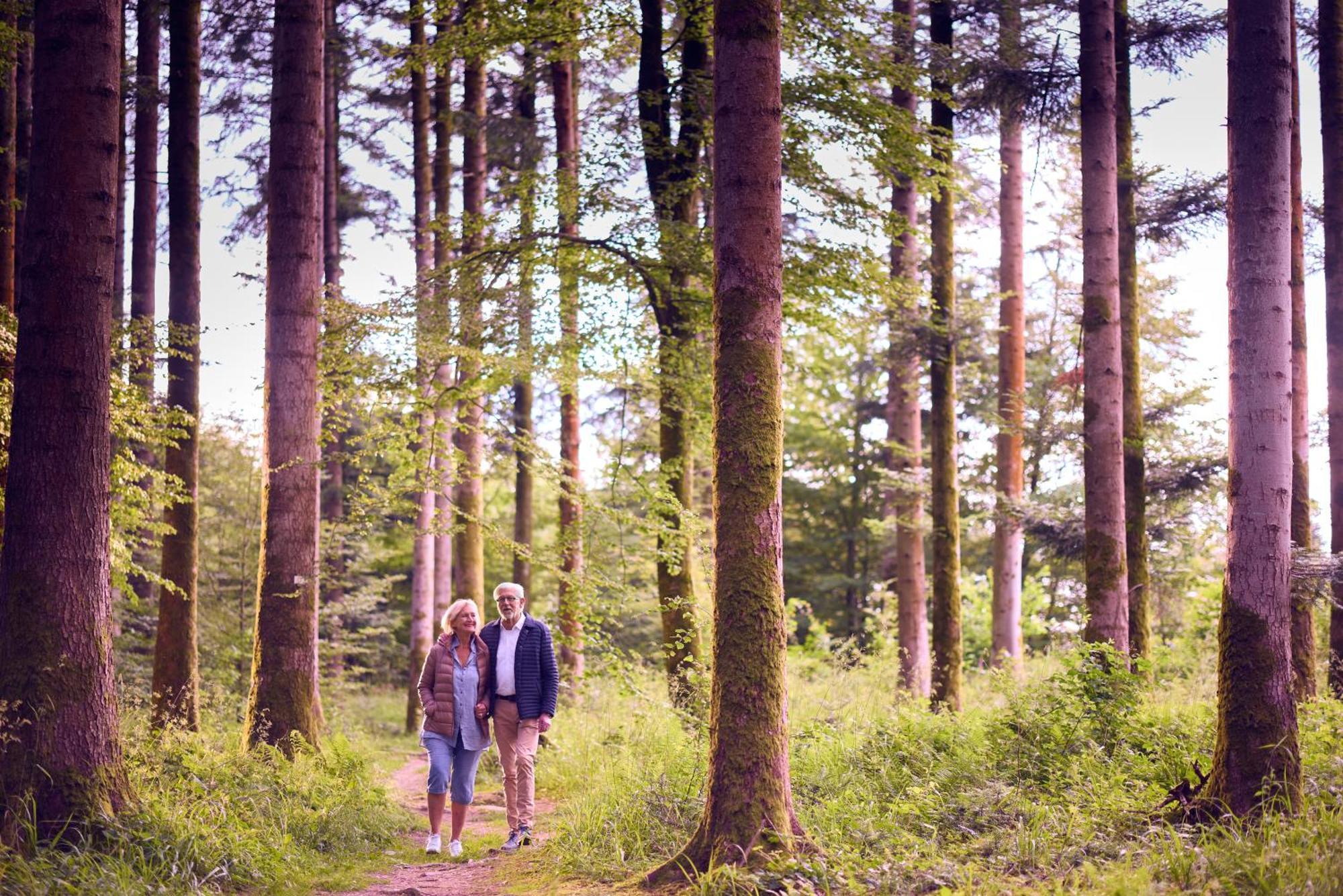 Center Parcs Les Trois Forets Hattigny Luaran gambar